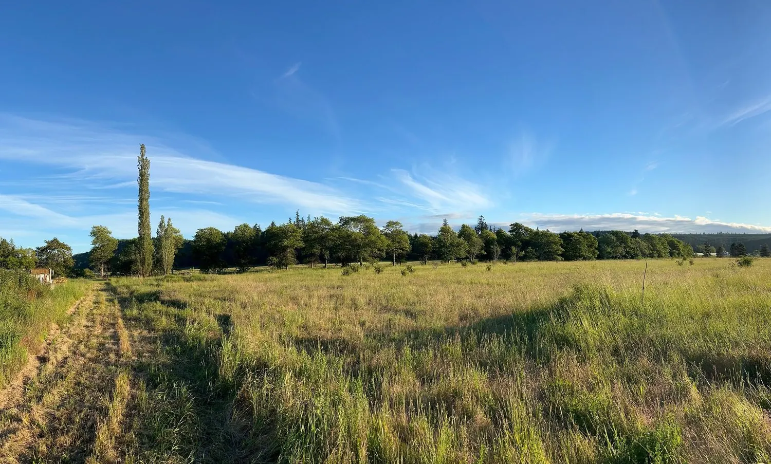 The orchard at The Glendale Farm