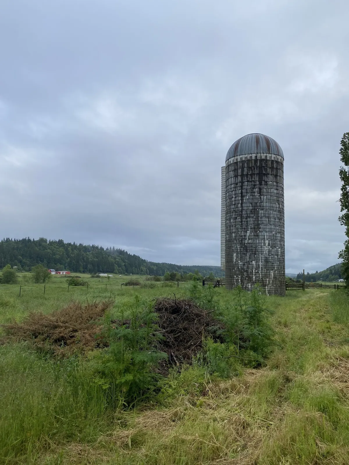 The silo at The Glendale Farm in Chimacum, Washington